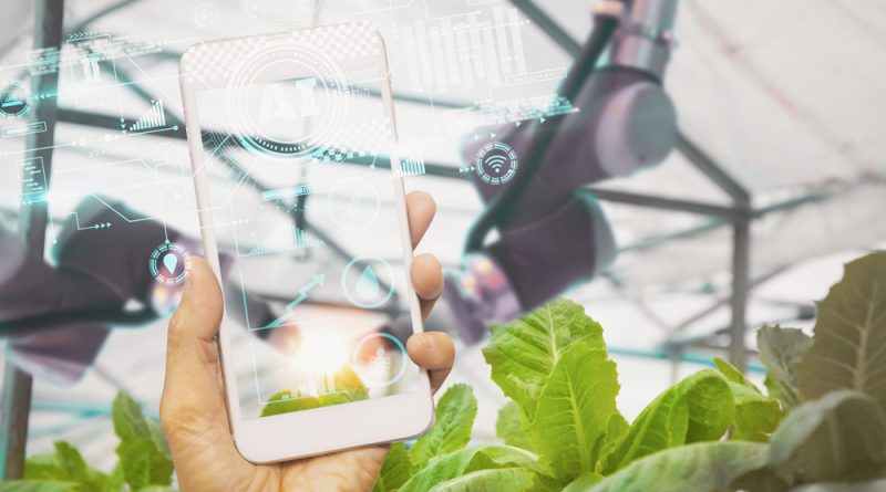Mobile phone with food traceability AI tool