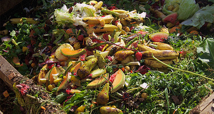 Big pile of food waste