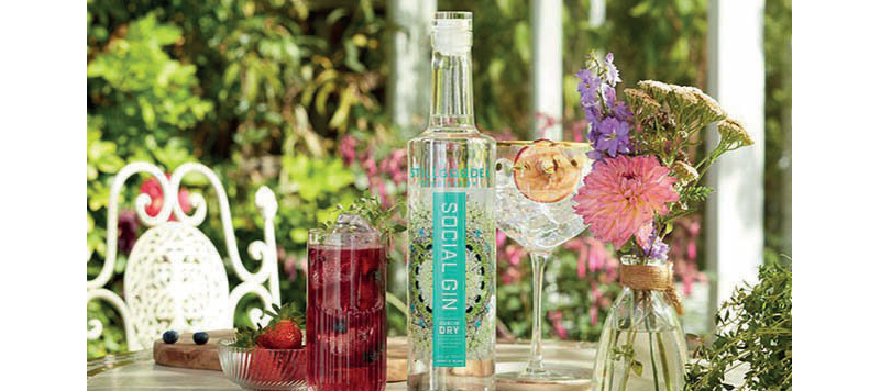 Social Gin