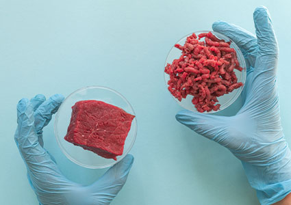 Lab grown meat concept - meat in petri dish