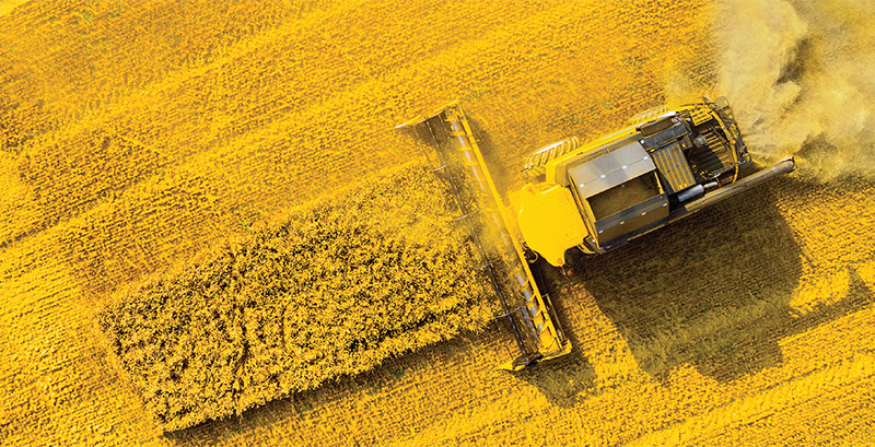 Traceability